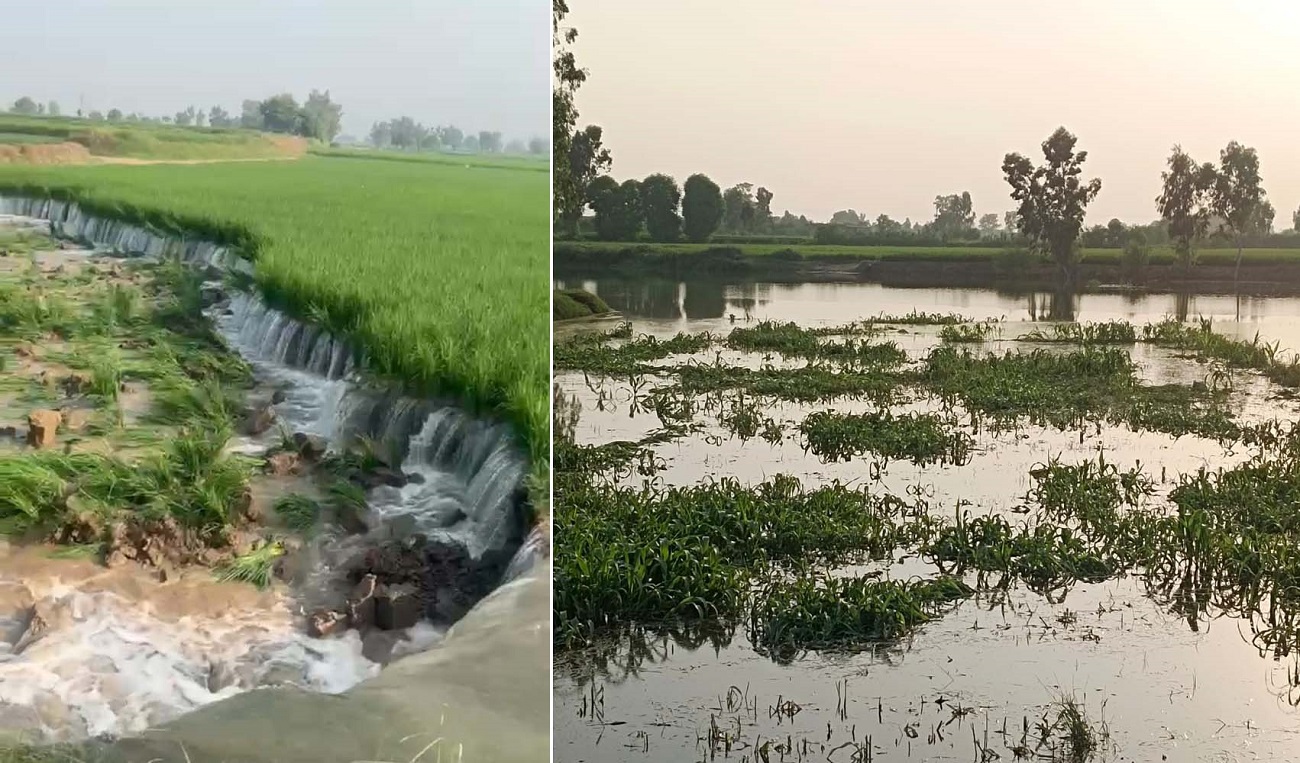 ਸਤਲੁਜ ਦਰਿਆ ਦੀ ਫਾਟ ''ਚ ਪਾਣੀ ਨੇ ਦਿੱਤੀ ਦਸਤਕ, ਸਰਹੱਦੀ ਪਿੰਡਾਂ ਦੇ ਲੋਕਾਂ ਦੀ ਵਧੀ ਚਿੰਤਾ