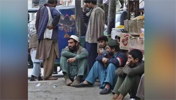 63  of pakistan  s population cannot afford to buy food