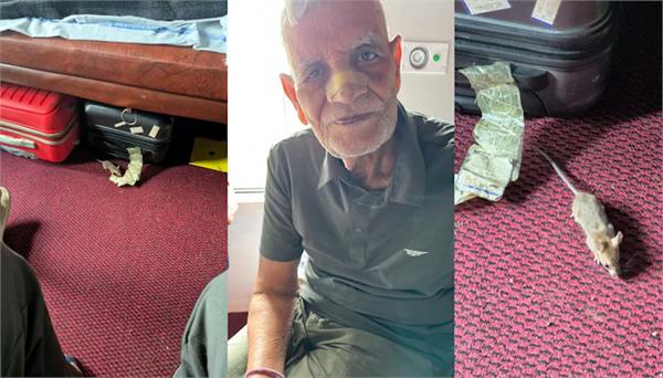 rat bites off passenger  s nose in una indore express  s first ac