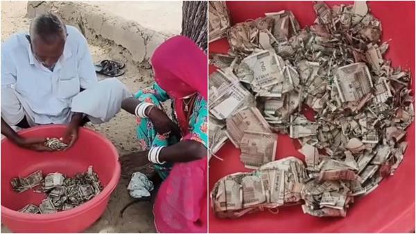fearing theft  farmer buried rs 5 lakh in field