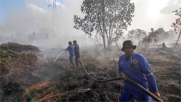 fire rages in indonesian forests
