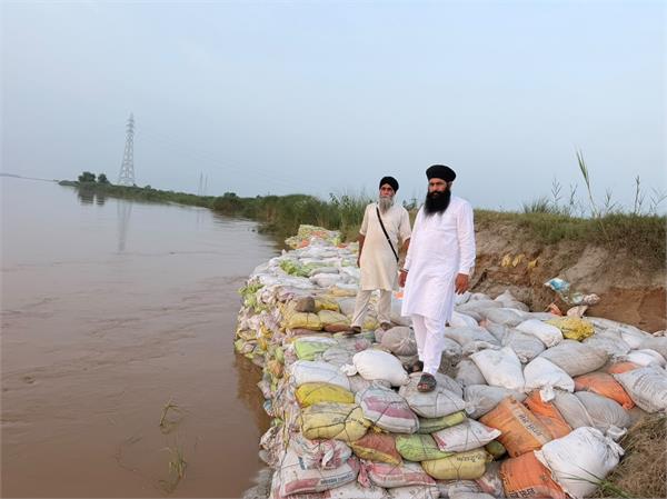 beas river water level rises again