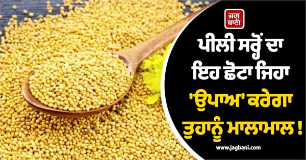 this little   remedy   of yellow mustard will make you rich