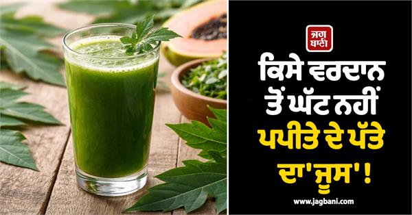 papaya leaf juice is nothing less than a blessing 