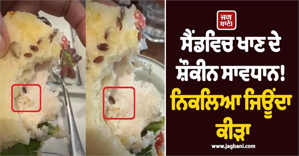 live worm found sandwich restaurant video