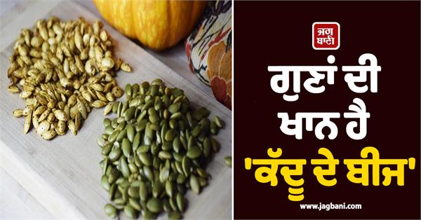 pumpkin seeds are a mine of virtues 