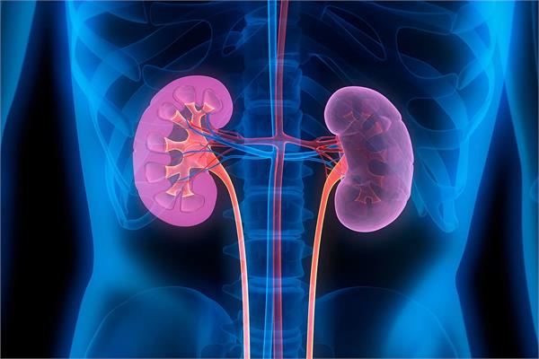 growing concern for kidney patients in india