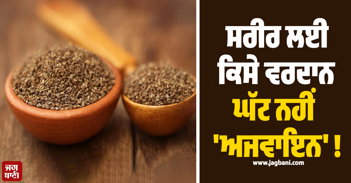 ਸਰੀਰ ਲਈ ਕਿਸੇ ਵਰਦਾਨ ਘੱਟ ਨਹੀਂ 'ਅਜਵਾਇਨ' ! ਜਾਣੋ ਇਸ ਦੇ ਫਾਇਦੇ ਤੇ ਖਾਣ ਦਾ ਸਹੀ ਸਮਾਂ