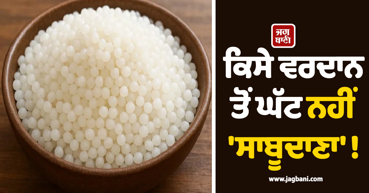 ਕਿਸੇ ਵਰਦਾਨ ਤੋਂ ਘੱਟ ਨਹੀਂ ''ਸਾਬੂਦਾਣਾ'' ! ਜਾਣੋ ਇਸ ਦੇ ਹੈਰਾਨੀਜਨਕ ਫਾਇਦੇ