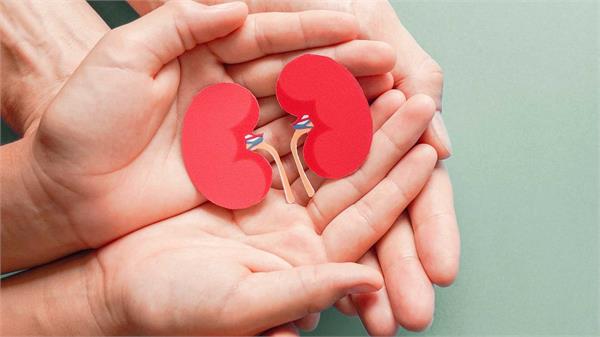 20 years old kidney test every 6 months 