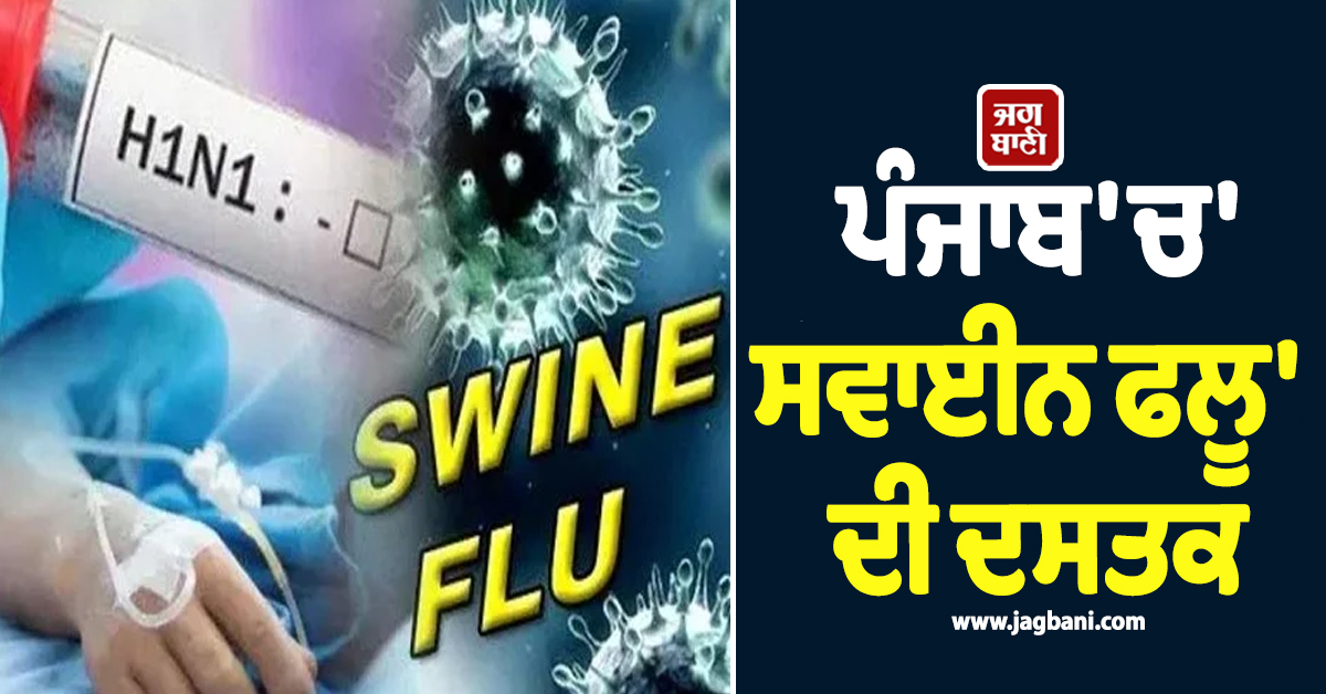 ਪੰਜਾਬ 'ਚ 'ਸਵਾਈਨ ਫਲੂ' ਦੀ ਦਸਤਕ, ਸਾਵਧਾਨ ਰਹਿਣ ਲੋਕ, ਇਨ੍ਹਾਂ ਲੱਛਣਾਂ ਨੂੰ ਨਾ ਕਰੋ ਨਜ਼ਰ-ਅੰਦਾਜ਼