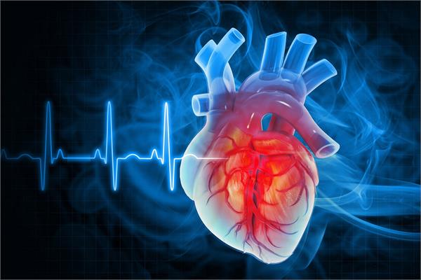 microplastics entering the heart through cigarettes