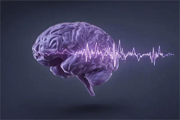epilepsy treatment drug will reach the brain through the nose
