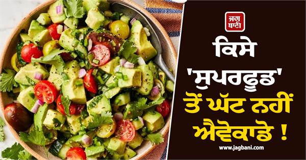 avocado is nothing less than a superfood 