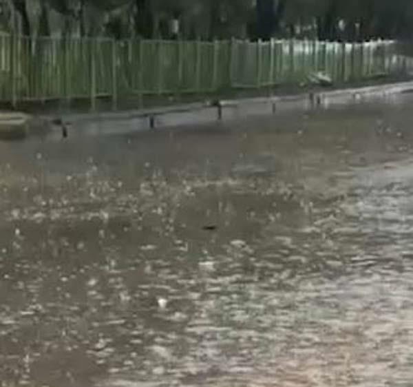 monsoon gains momentum  daily rains expected