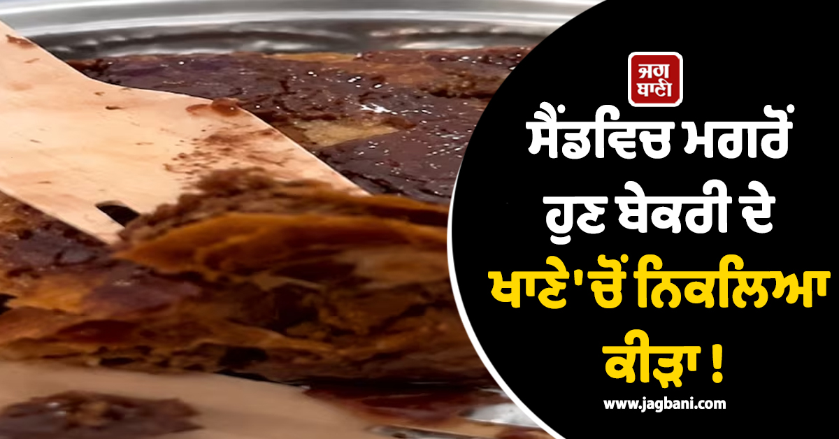 ਸੈਂਡਵਿਚ ਮਗਰੋਂ ਹੁਣ ਬੇਕਰੀ ਦੇ ਖਾਣੇ ''ਚੋਂ ਨਿਕਲਿਆ ਕੀੜਾ ! ਪੁਣੇ ਦੀ ਵੀਡੀਓ ਵਾਇਰਲ ਹੋਣ ਮਗਰੋਂ ਮਚੀ ਹਾਹਾਕਾਰ