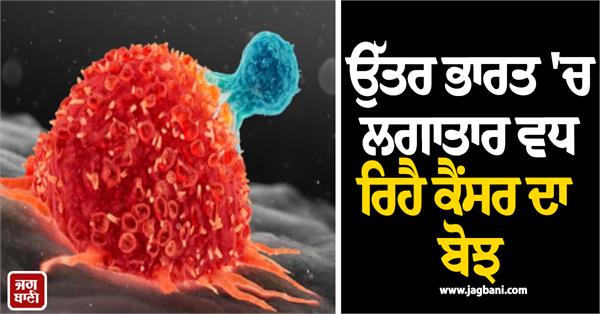 north india cancer punjab haryana rajya sabha