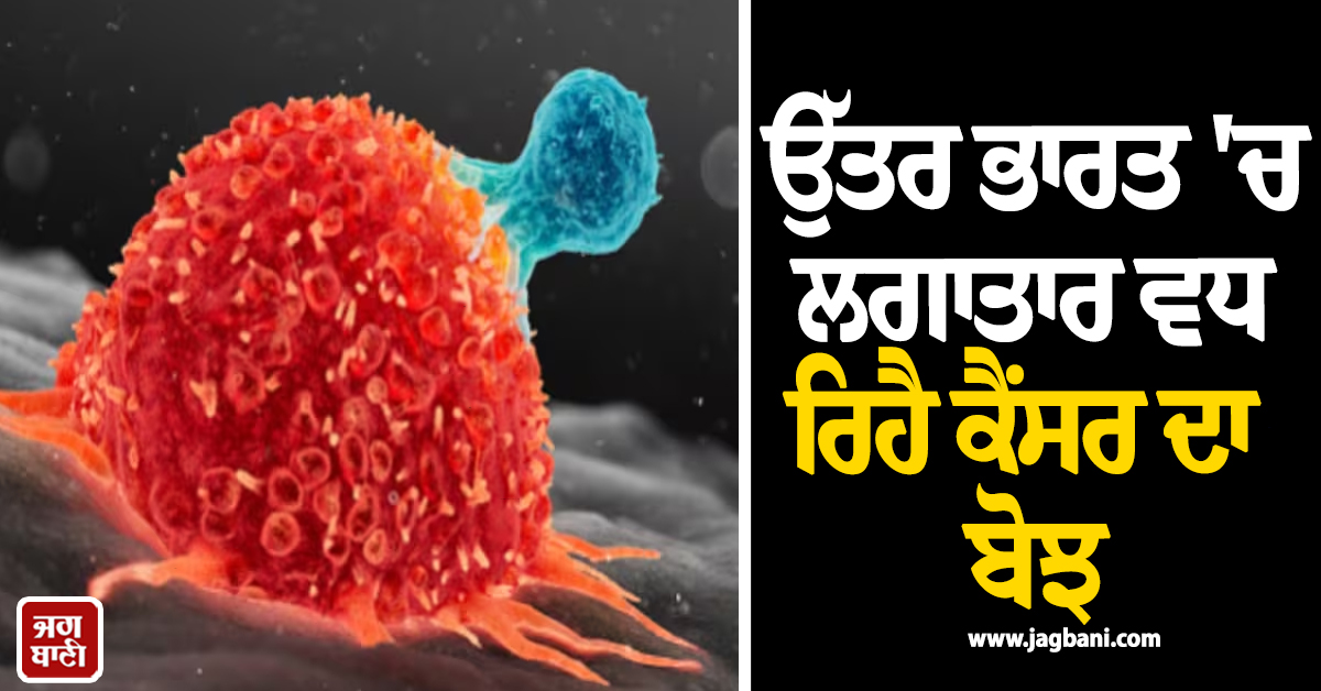 ਉੱਤਰ ਭਾਰਤ 'ਚ ਲਗਾਤਾਰ ਵਧ ਰਿਹੈ ਕੈਂਸਰ ਦਾ ਬੋਝ, ਪੰਜਾਬ ਸਭ ਤੋਂ ਵੱਧ ਪ੍ਰਭਾਵਿਤ ਸੂਬਾ