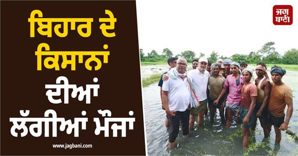 growing global demand for mithila makhana opportunities for bihar farmers