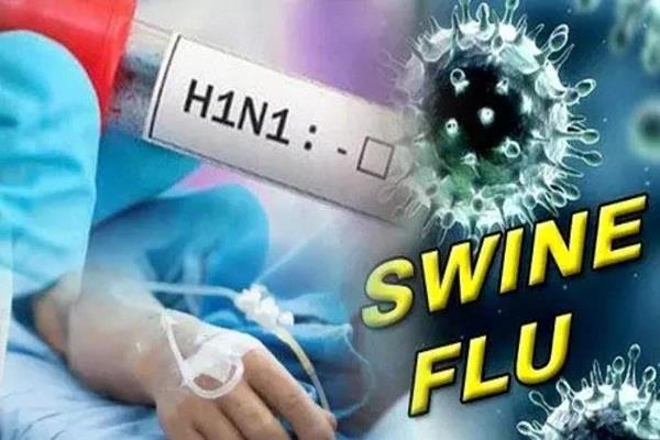 appeal to take precautions to protect against swine flu