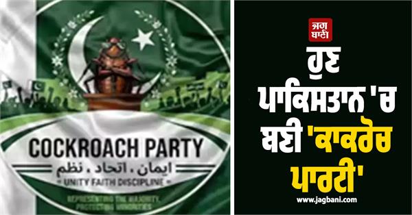 cockroach party in pakistan