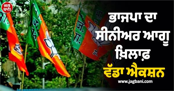 bjp takes big action against senior leader