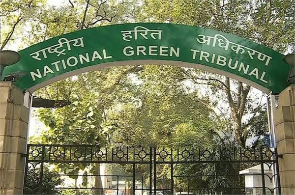 ngt  banyan tree  construction  himachal government