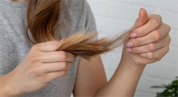 if you are troubled by the problem of hair fall  then follow these tips 