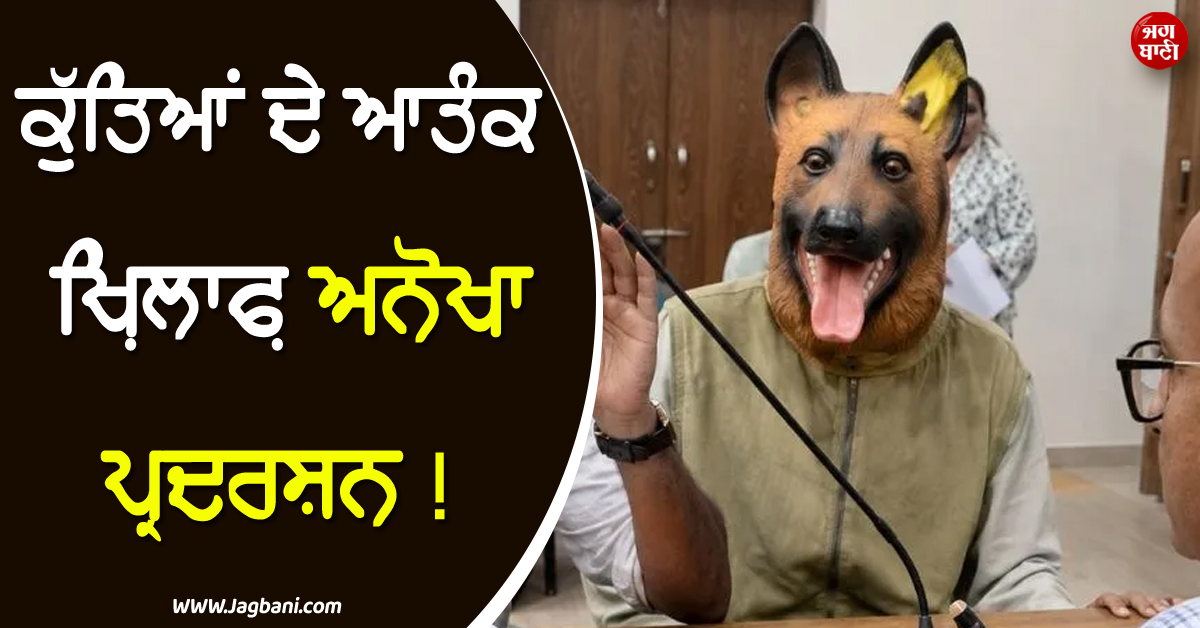 ਕੁੱਤਿਆਂ ਦੇ ਆਤੰਕ ਖ਼ਿਲਾਫ਼ ਅਨੋਖਾ ਪ੍ਰਦਰਸ਼ਨ ! ''ਡੌਗੀ'' ਦਾ ਭੇਸ ਬਣਾ ਕੇ ਆ ਗਿਆ ਬੰਦਾ, ਵੀਡੀਓ ਵਾਇਰਲ