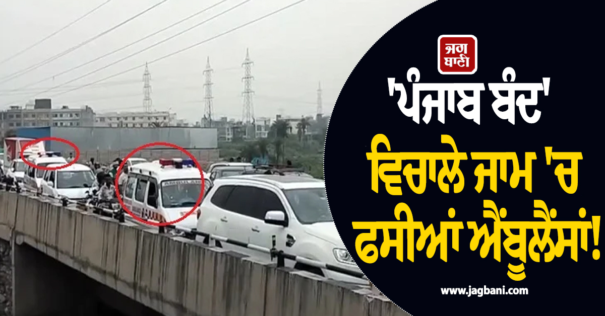 'ਪੰਜਾਬ ਬੰਦ' ਵਿਚਾਲੇ ਜਾਮ 'ਚ ਫਸੀਆਂ ਐਂਬੂਲੈਂਸਾਂ! ਹਾਈਵੇ 'ਤੇ ਵੱਜੇ ਸਾਇਰਨ, ਮੌਕੇ 'ਤੇ ਭਖਿਆ ਮਾਹੌਲ (ਵੀਡੀਓ)