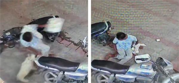bhawanigarh  rabid dog bites people