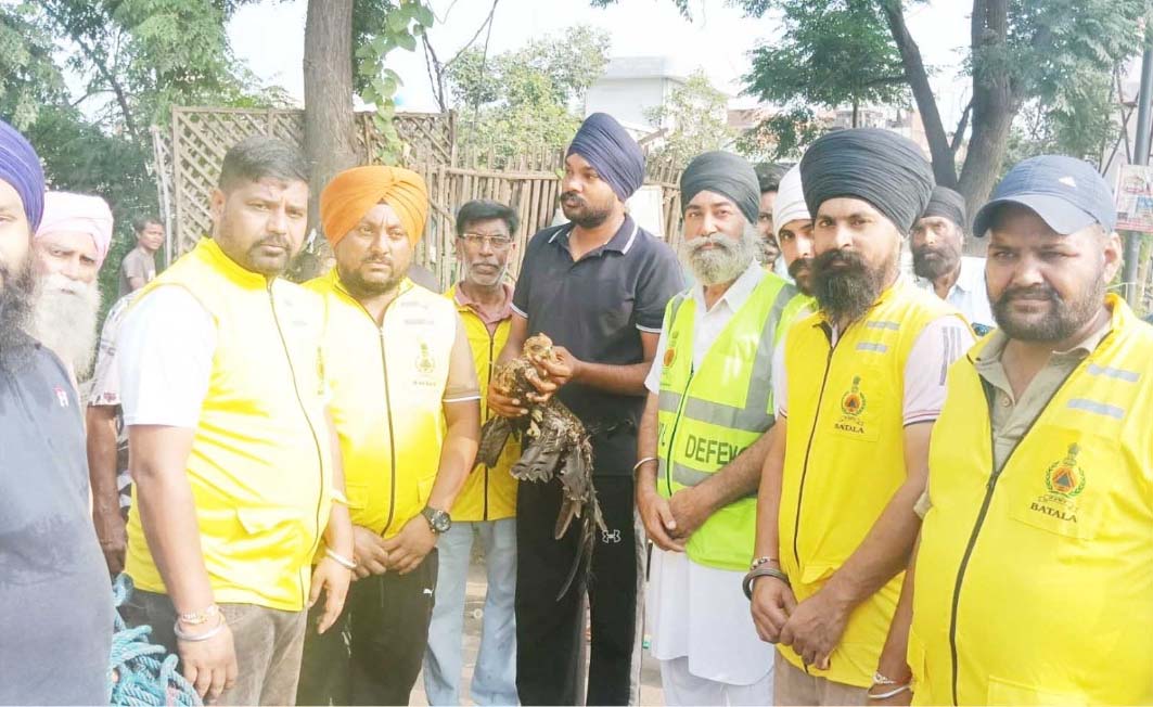 80 ਫੁੱਟ ਉੱਚਾਈ ’ਤੋਂ ਬਲੈਕ ਕਾਈਟ ਪੰਛੀ ਰੈਸਕਿਊ