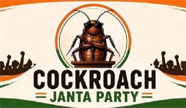will cockroaches create a party or an atmosphere