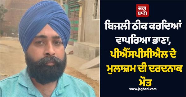 pspcl electricity employee electricity department