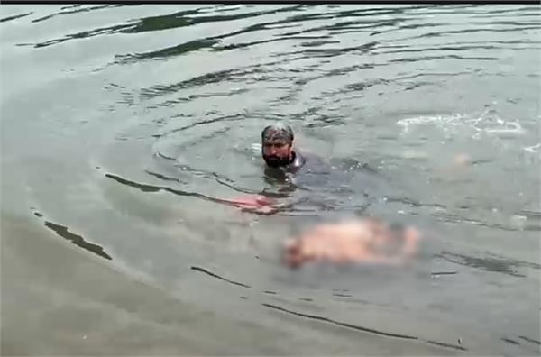 deadbody found in sacred kali bein in sultanpur lodhi