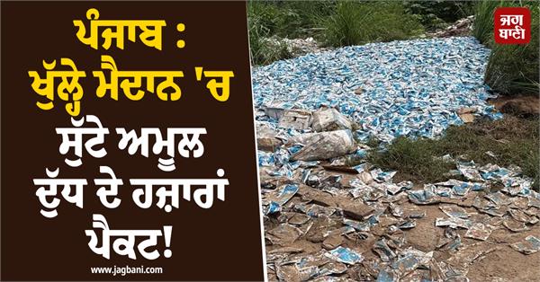 thousands of amul milk packets thrown in open field 