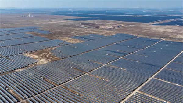 green dilemma chinas solar boom has damaged bird biodiversity