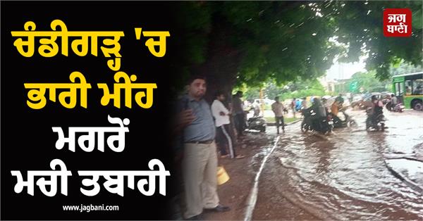 devastation after heavy rain in chandigarh