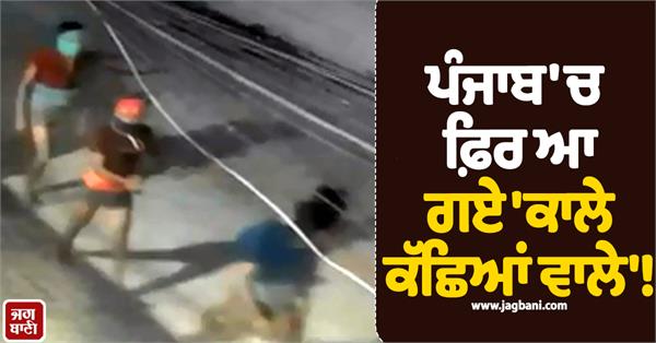 punjab cctv video