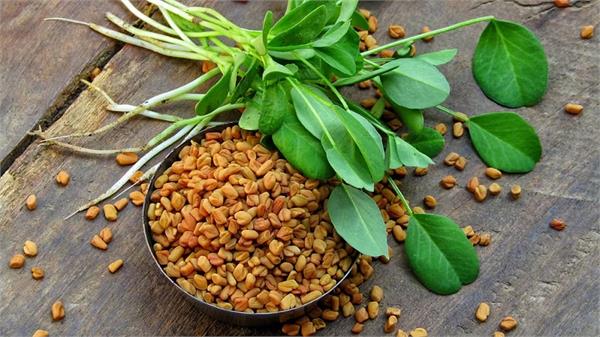 benefits and correct method of applying   methi dana   in hair