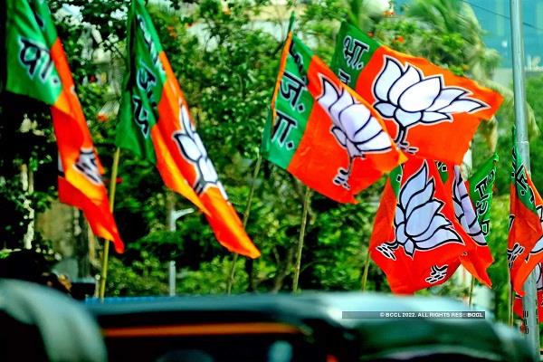 bjp elections