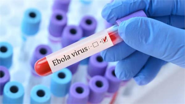 ebola virus