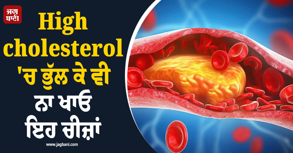 High cholesterol 'ਚ ਭੁੱਲ ਕੇ ਵੀ ਨਾ ਖਾਓ ਇਹ ਚੀਜ਼ਾਂ, ਹੋ ਸਕਦੈ ਵੱਡਾ ਨੁਕਸਾਨ