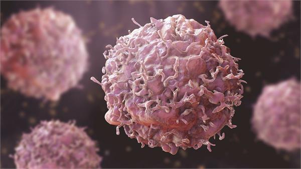 do you know these 5 truths about cancer 