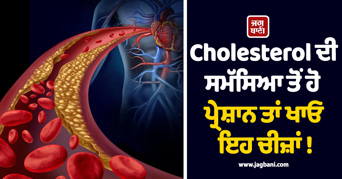 Cholesterol ਦੀ ਸਮੱਸਿਆ ਤੋਂ ਹੋ ਪ੍ਰੇਸ਼ਾਨ ਤਾਂ ਖਾਓ ਇਹ ਚੀਜ਼ਾਂ ! ਮਿਲਣਗੇ ਅਣਗਿਣਤ ਫਾਇਦੇ