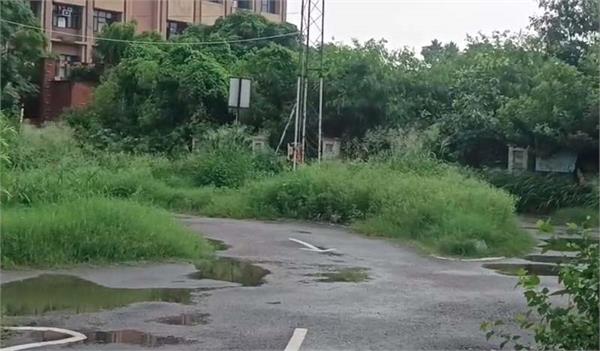 overgrown grass on rto track jalandhar parking point not visible