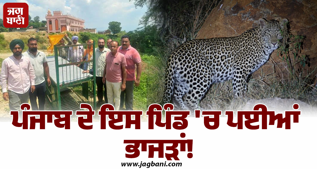 ਪੰਜਾਬ ਦੇ ਇਸ ਪਿੰਡ 'ਚ ਪਈਆਂ ਭਾਜੜਾਂ! ਲੋਕਾਂ ਲਈ ਅਚਾਨਕ ਜਾਰੀ ਹੋਈ ਐਡਵਾਈਜ਼ਰੀ