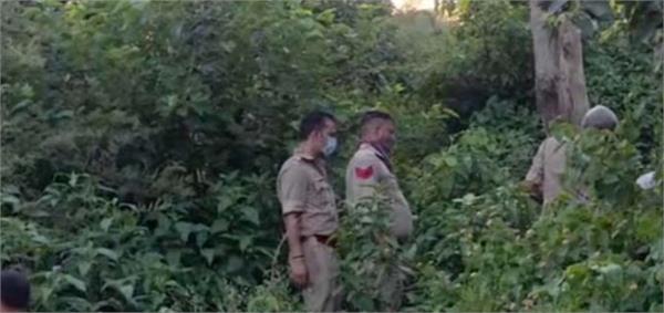 sensation as charred body found in forest near national highway