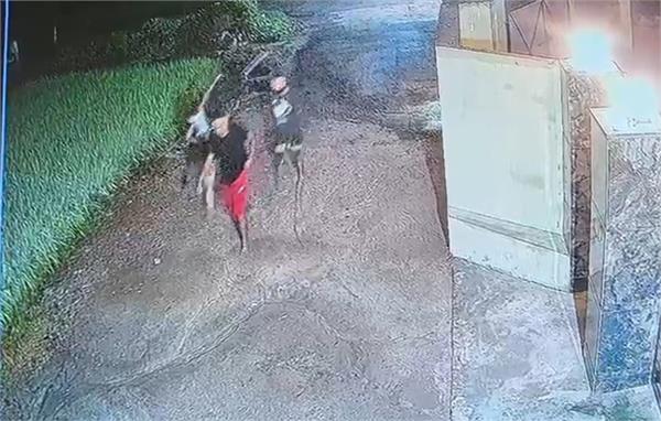 farmer  family  jewelry  theft