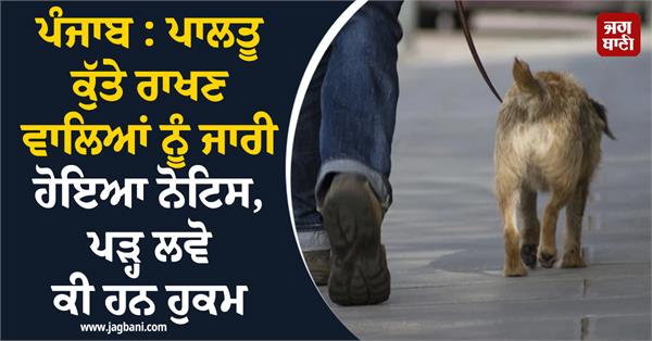 pet dogs new orders dog registration